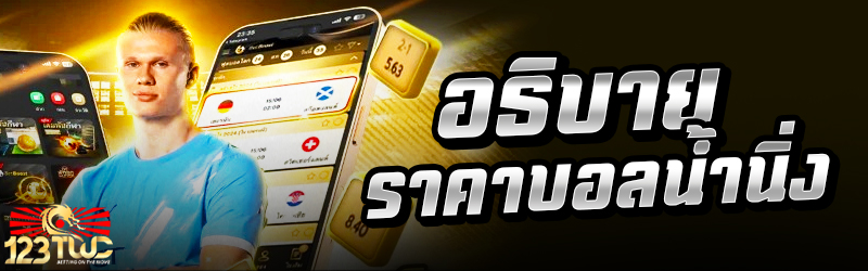 อธิบายราคาบอลน้ำนิ่ง