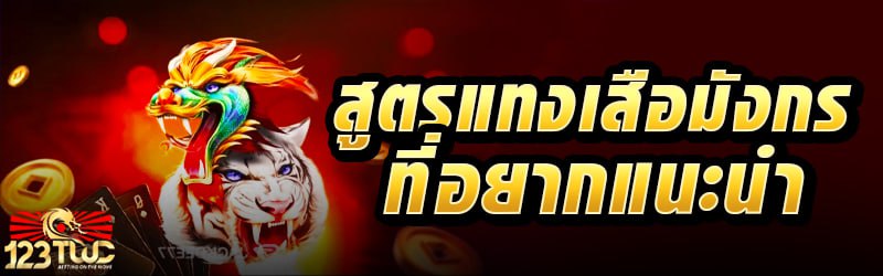 สูตรแทงเสือมังกรที่อยากแนะนำ