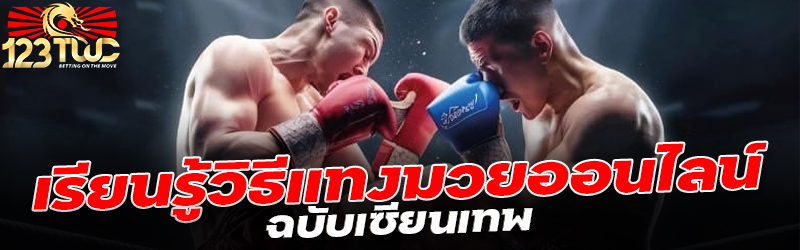 เรียนรู้วิธีแทงมวยออนไลน์ ฉบับเซียนเทพ