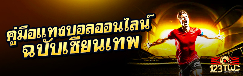 คู่มือแทงบอลออนไลน์ ฉบับเซียนเทพ