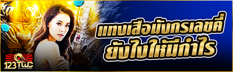 แทงเสือมังกร เลขคี่ ยังไงให้มีกำไร