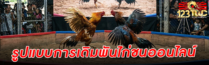 รูปแบบการเดิมพันกีฬา ไก่ชนออนไลน์